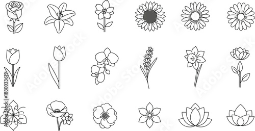 A collection of eighteen delicate botanical line art illustrations featuring various types of beautiful flowers perfect for tattooing or minimalist design aesthetics
