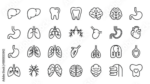 line drawing icons of human body organs and teeth on white background