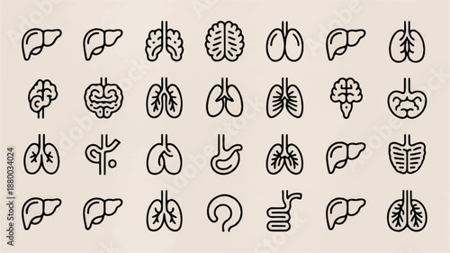 line drawing human organ icons set including brain liver kidney stomach and more