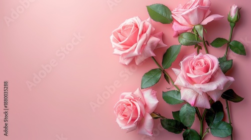 Romantic Pink Pastel Background With Roses And Blank