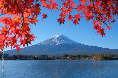 Photography mt fuji in autumn