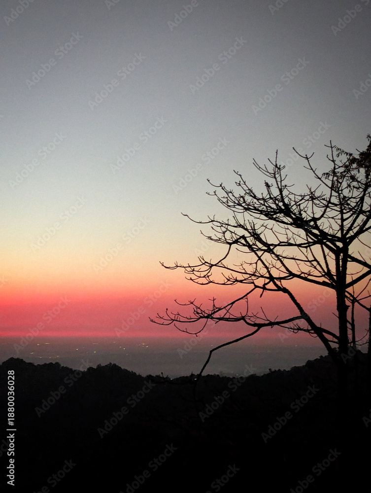 Naklejka premium Minimalist Tree Silhouette Against Vibrant Pink and Orange Twilight Sky