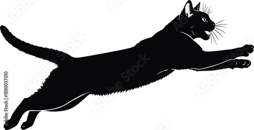 Action shot of a black cat silhouette pouncing and leaping forward in mid air for hunting or play.