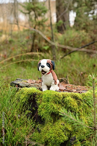 A forest stump in the moss with a dog sitting on it.