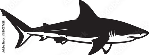 Black and white shark silhouette swimming predator 1