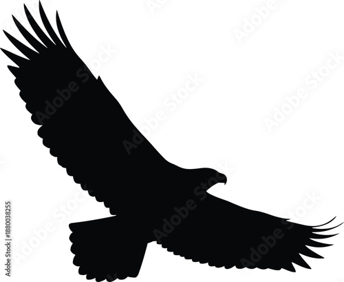 Black eagle bird of prey silhouette vector illustration soaring with majestic spread wings for nature conservation freedom and wildlife protection branding designs.