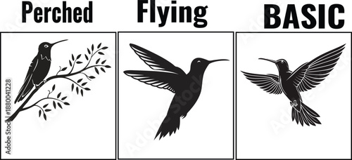 Hummingbird Silhouette Vector Collection: Minimalist Flying and Perched Bird in Clean Black Line Art