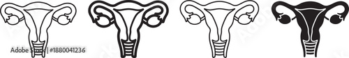 Uterus and female reproductive system icon set in thin line, bold outline, rounded, and silhouette styles for medical education, gynecology, and healthcare visuals