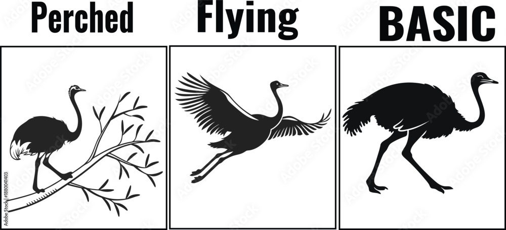 Obraz premium Emu Flying and Perched Bird Silhouettes Collection in Clean Black Minimal Vector Style