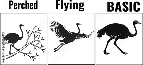 Emu Flying and Perched Bird Silhouettes Collection in Clean Black Minimal Vector Style