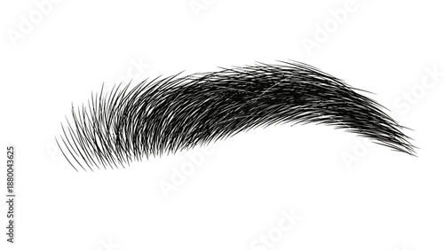 Black mascara brush vector isolated on white background