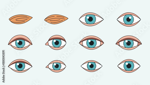 Vector set of cartoon woman face eyes with brown iris and black eyelashes featuring fashion makeup design illustration for beauty and cosmetics art