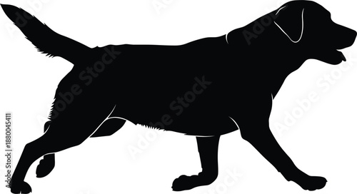 Black and white walking labrador retriever dog silhouette vector illustration for active pet lifestyle branding animal training and veterinary services.