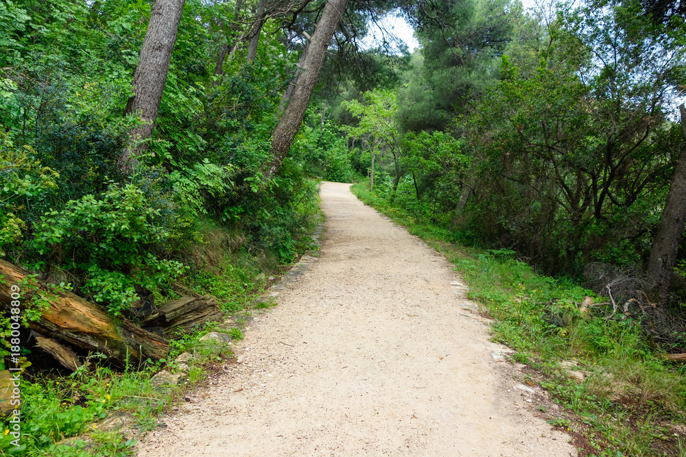 Obraz premium trail at Velika and Mala Petka Forest Park, Dubrovnik, Croatia