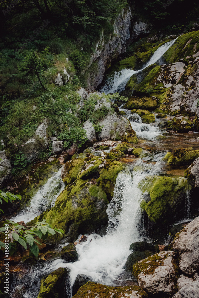 Obraz premium Blick auf die junge Soča, wie sie kurz unterhalb der Quelle am Fuße des Travnik über moosbedeckte Felsen plätschert, Slowenien, Julische Alpen