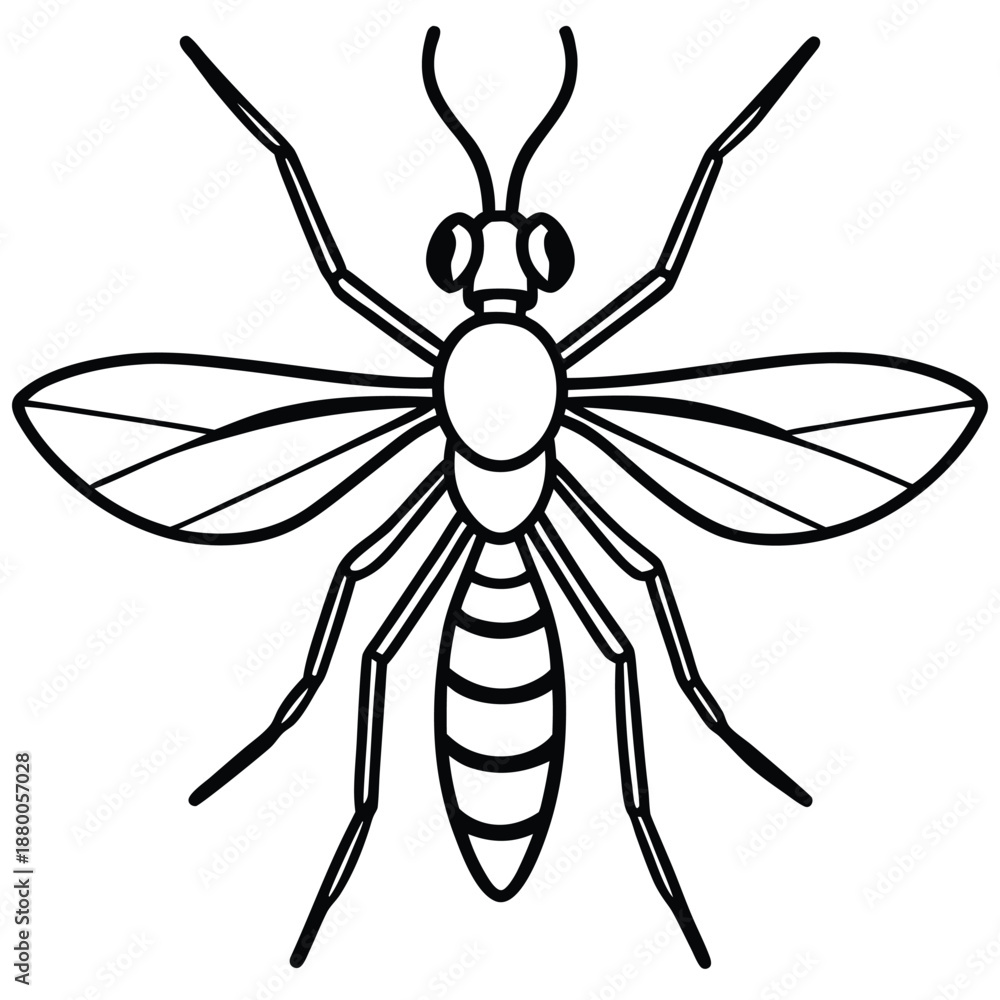 Fototapeta premium mosquito isolated on white