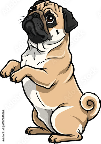 Pug dog cute playful begging pose vector illustration