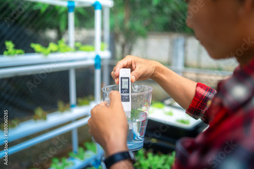 Farmers checking, inspecting quality of water in to check their hydroponic vegetable plots.