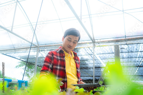 farmer using a laptop to inspect hydroponic v.egetable plot.