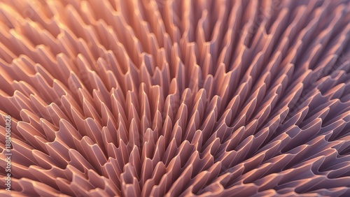 Intricate natural pattern of delicate gills on a mushroom cap in warm light