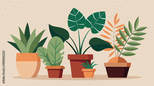 A collection of colorful potted plants and succulents on a beige background for home decor inspiration