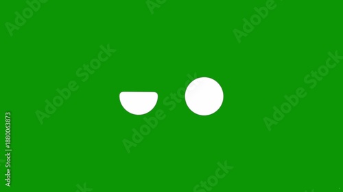 Animated Cartoon Eyes Expressing Different Emotions on Green Screen, Chroma Key Facial Expressions Pack
