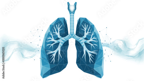 Geometric polygonal illustration of human lungs with trachea and bronchi on white background