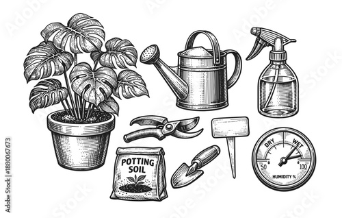 Vintage gardening tools and monstera plant illustration