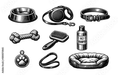 Engraved pet supplies collection: brush, leash, shampoo, collar, and more