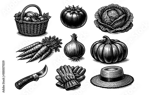 Vintage vegetable garden tools and produce: basket, tomato, cabbage, carrots, onion, pumpkin