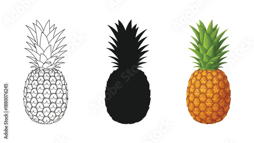 Set of three pineapples outline drawing, black silhouette and realistic color illustration
