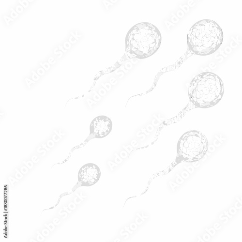 Illustration of human sperm cells on a plain white background