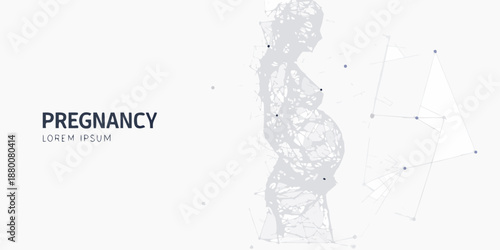 Abstract polygonal illustration of a pregnant woman s profile in a minimalist style