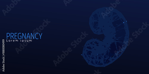 Abstract polygonal illustration of a fetus within a womb alongside the word pregnancy