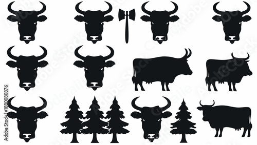 Rural landscape with cattle and pine trees silhouettes