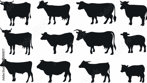 Black cow silhouettes in various poses on white background