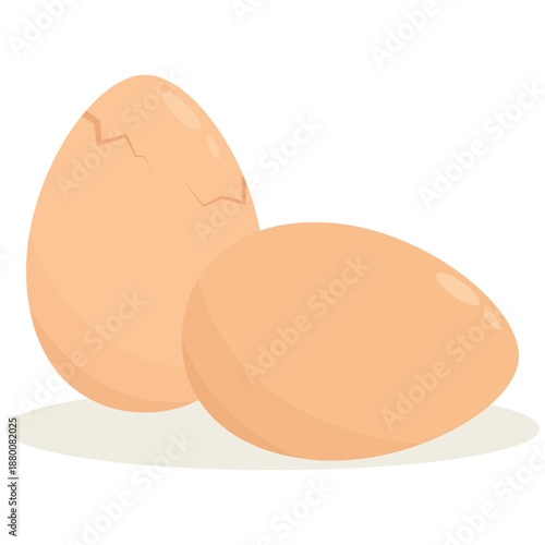 Chicken egg. Solid and cracked egg vector illustration. Cracked or hard-boiled eggs. illustration.