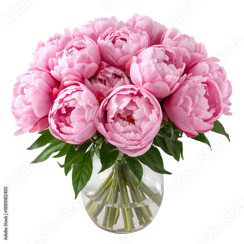 Pink Peonies Arranged in a Clear Glass Vase on a Table