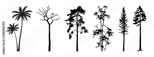 Collection of various tree silhouettes against white background