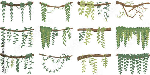 Hanging plant branches illustration set, trailing vines foliage, botanical greenery decor elements, nature inspired design collection