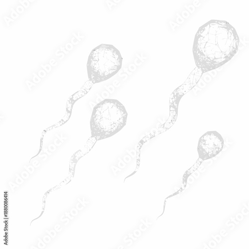 Illustration of human sperm cells on a clean white background