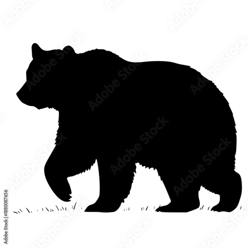 A black silhouette of a bear walking on grass