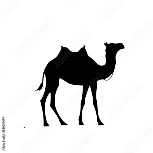A black silhouette of a camel standing on a white background