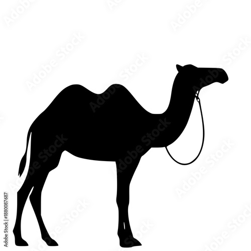 A black silhouette of a camel standing on a white background