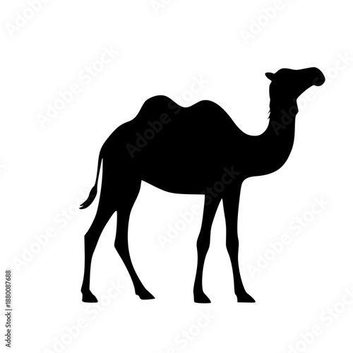A black silhouette of a camel standing on a white background