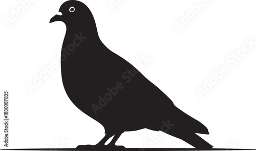 black silhouette of a pigeon standing on a line
