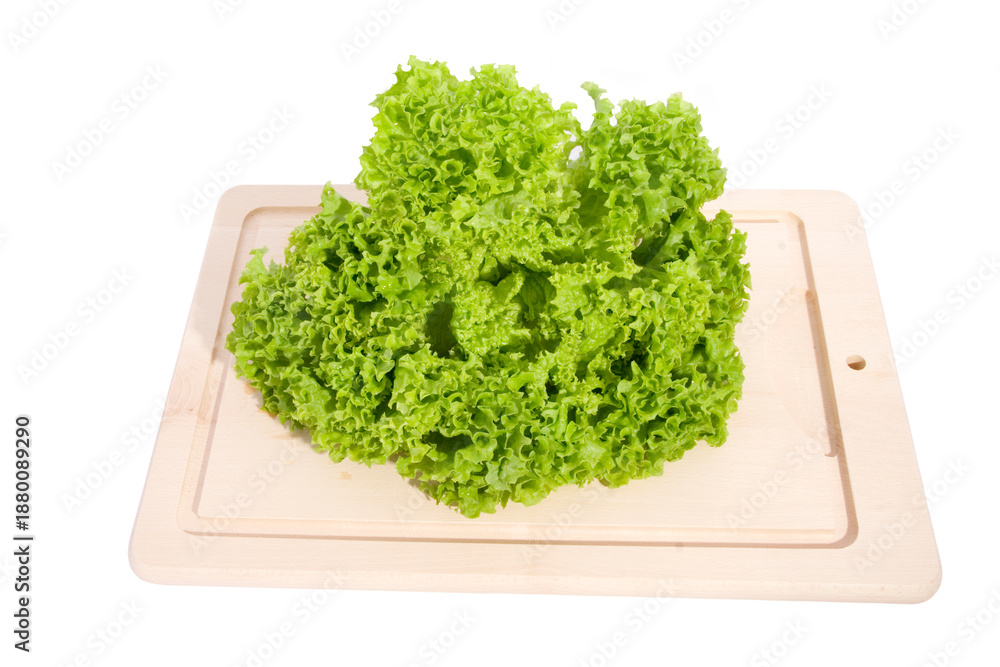 Fototapeta premium Lettuce