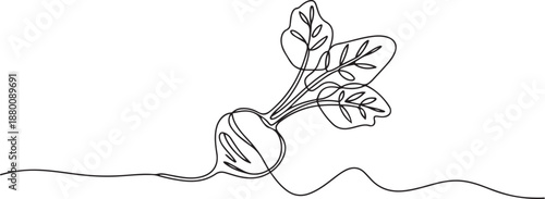 Continuous one line drawing of beetroot. Isolated on white background vector illustration. one line Art icon drawing vector