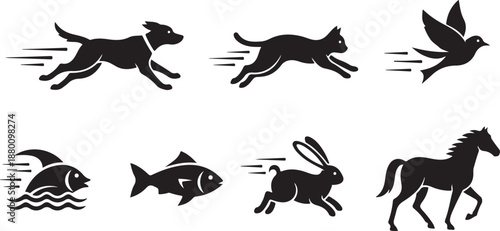 Collection of Silhouetted Animals in Motion: Dog, Cat, Bird, Fish, Rabbit, Horse