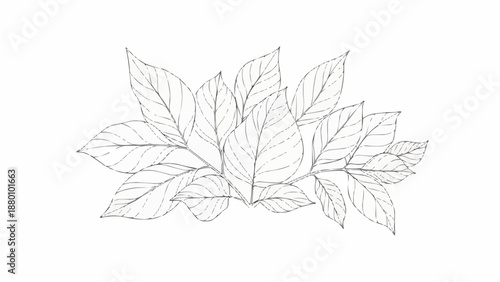 Hand drawn sketch of a cluster of green leaves.